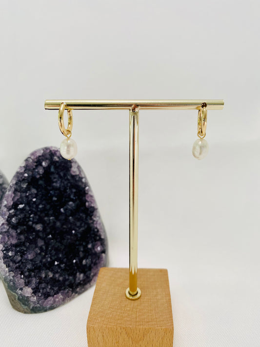 Earrings - Freshwater Pearl Hoop/Hook, 14K Gold/White Gold Filled